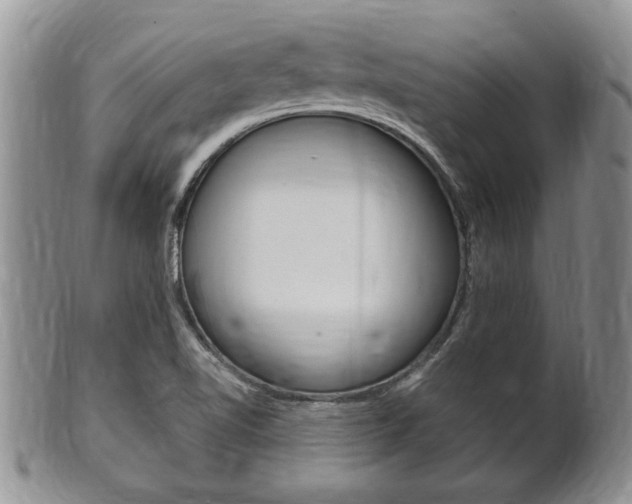 X0000102501510200808080933