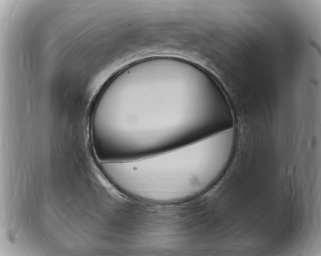 X0000102501511200808080933