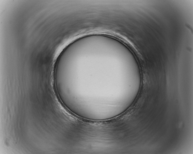 X0000102501512200808080933