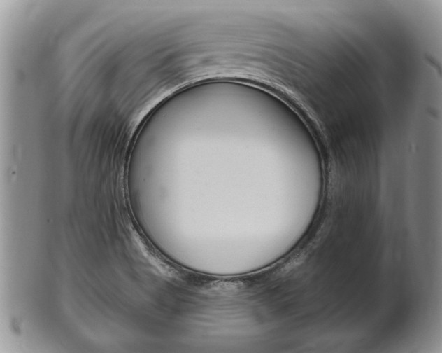 X0000102501513200808080933