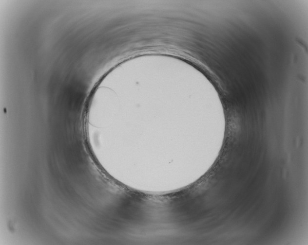 X0000102501514200808080933
