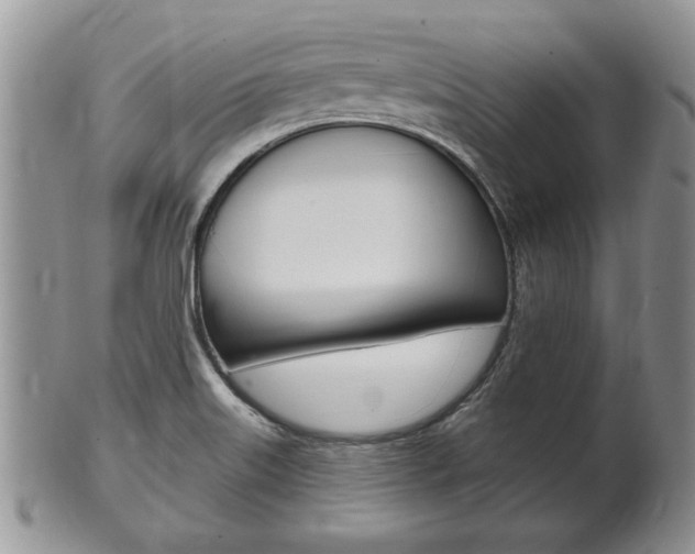 X0000102501515200808080933