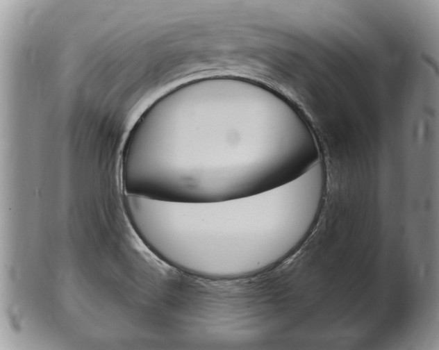 X0000102501516200808080933