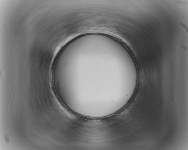 X0000102501517200808080933