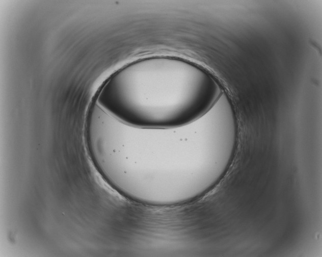 X0000102501518200808080933