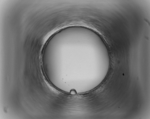 X0000102501519200808080933