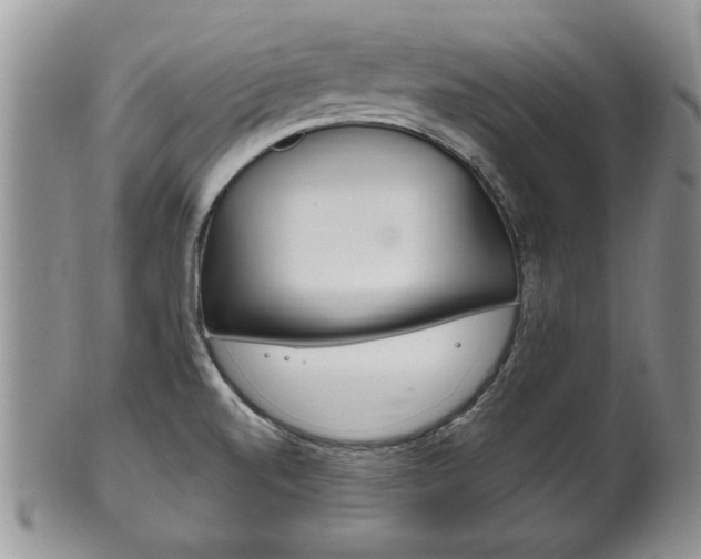 X0000102501520200808080933