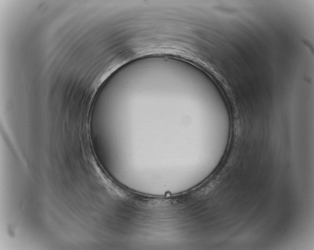 X0000102501521200808080933