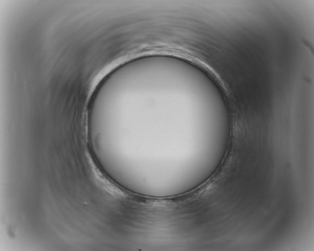 X0000102501522200808080933