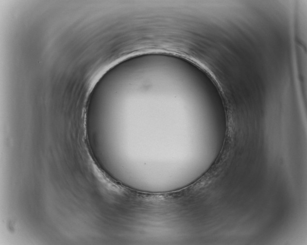 X0000102501524200808080933