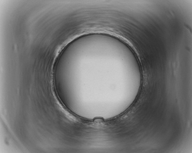 X0000102501525200808080933