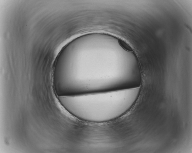 X0000102501526200808080933