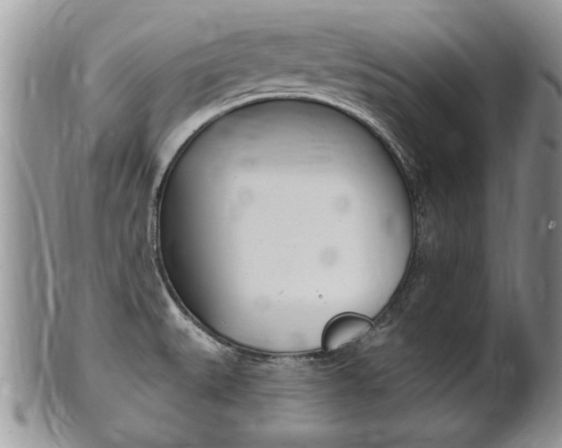 X0000102501527200808080933