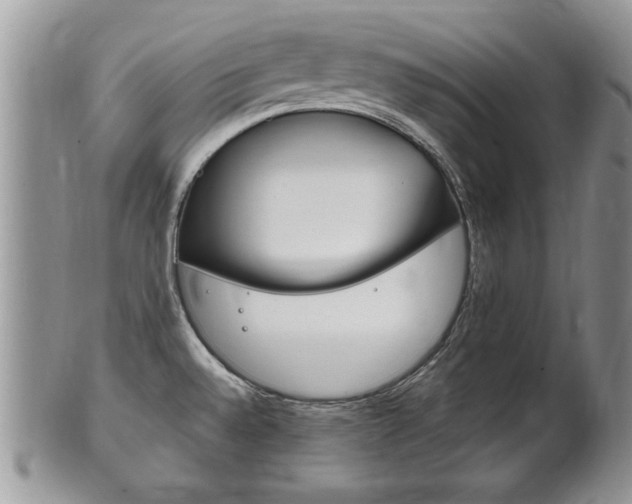 X0000102501528200808080933