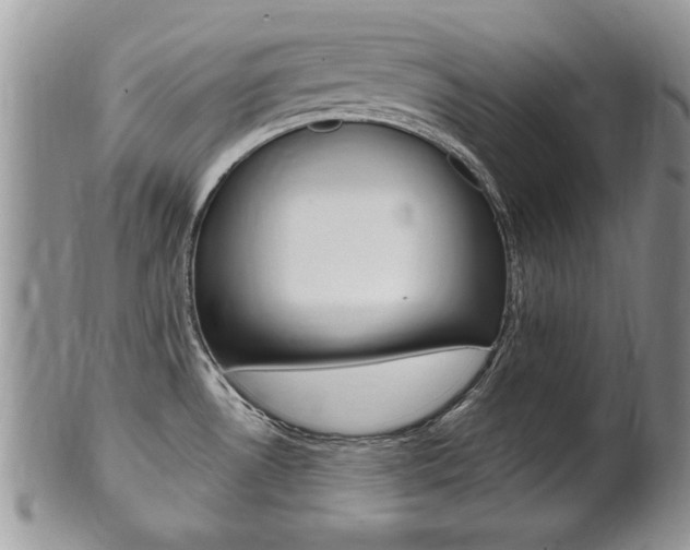 X0000102501530200808080933
