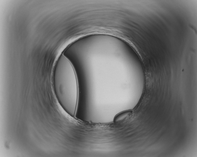 X0000102501531200808080933