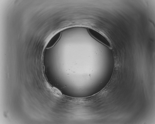 X0000102501532200808080933
