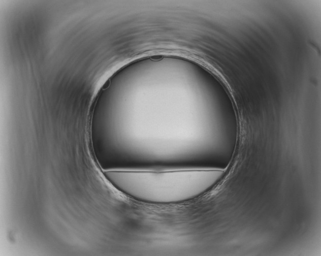X0000102501533200808080934