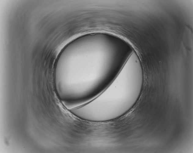X0000102501534200808080934