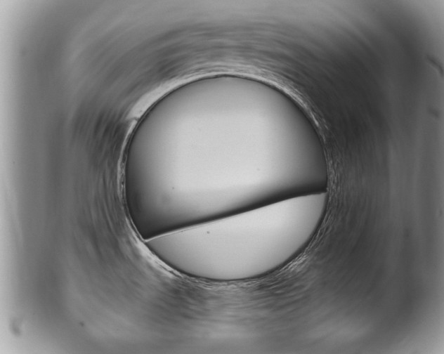 X0000102501535200808080934