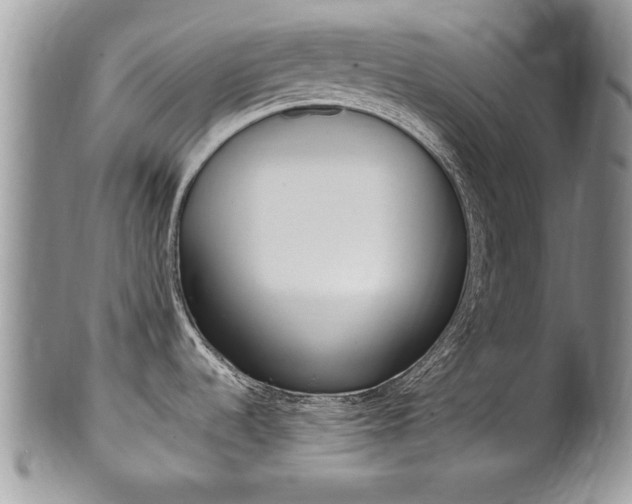 X0000102501536200808080934