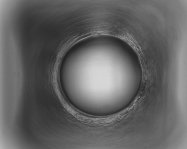 X0000102500001200808081358