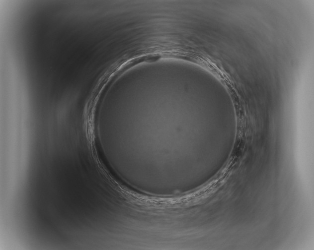 X0000102500002200808081358