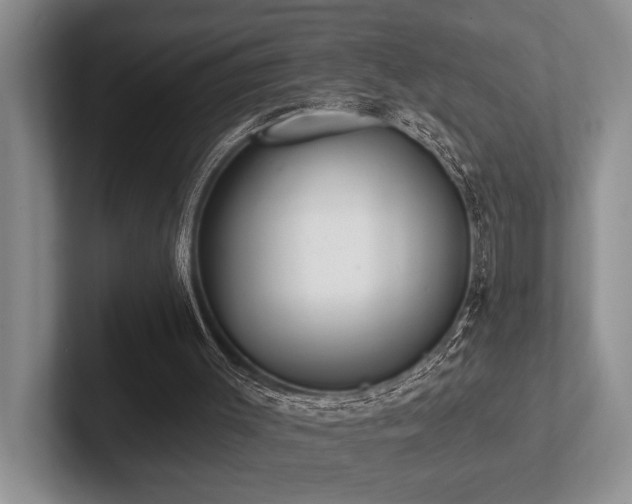 X0000102500003200808081358