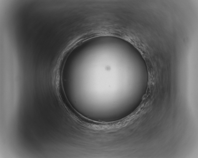 X0000102500005200808081358