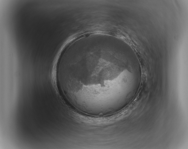 X0000102500006200808081358