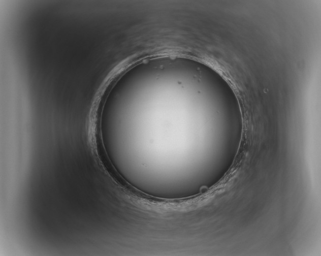 X0000102500007200808081358