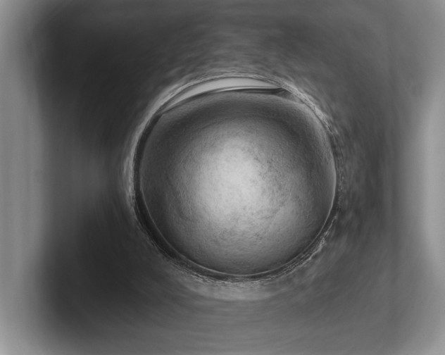 X0000102500008200808081358