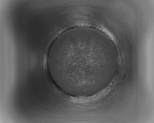 X0000102500009200808081358