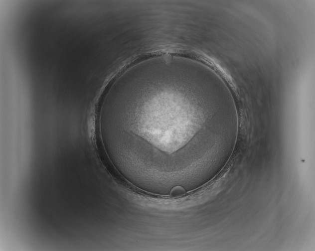 X0000102500010200808081358