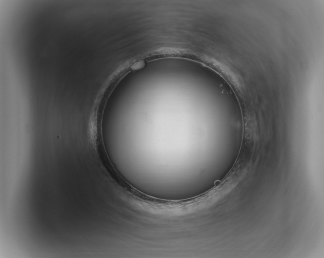 X0000102500015200808081358