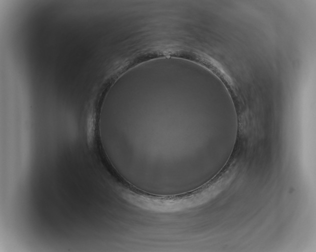 X0000102500018200808081358