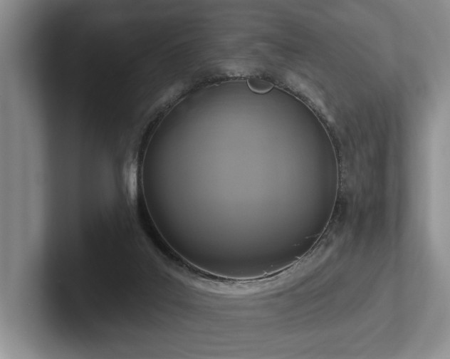 X0000102500019200808081358