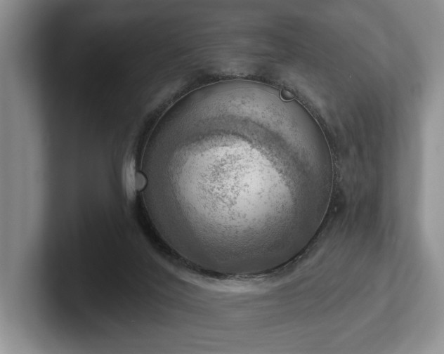 X0000102500020200808081358