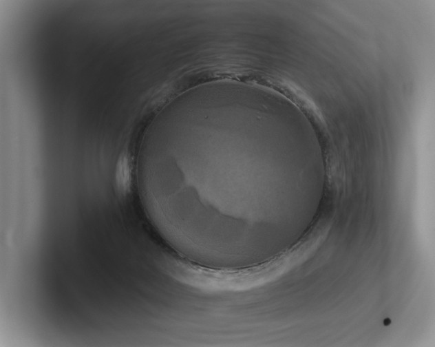 X0000102500026200808081358