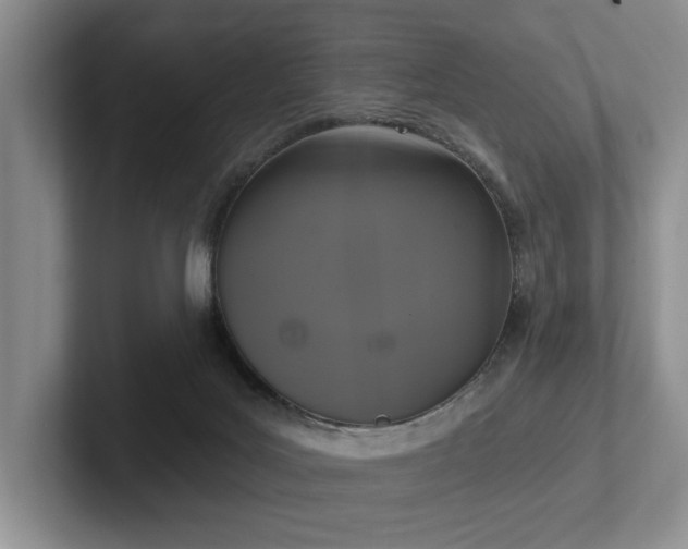 X0000102500027200808081358