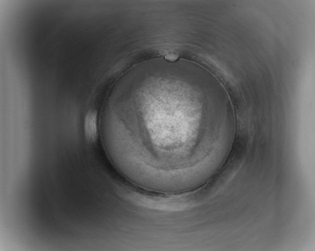 X0000102500028200808081358