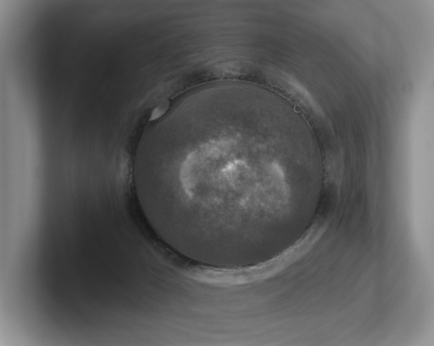 X0000102500029200808081358