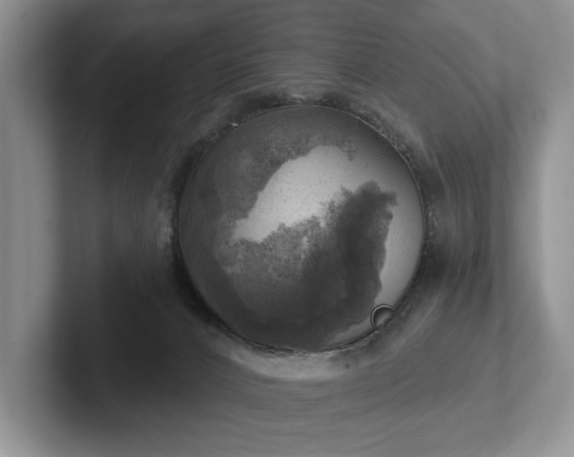 X0000102500032200808081358