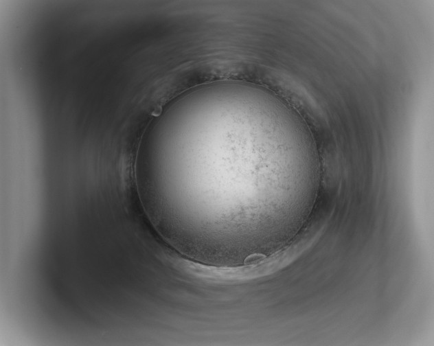 X0000102500034200808081358