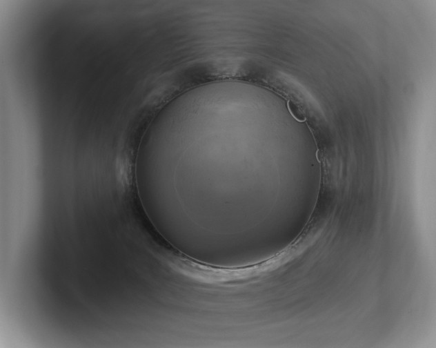 X0000102500035200808081358