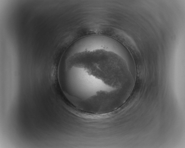 X0000102500036200808081358