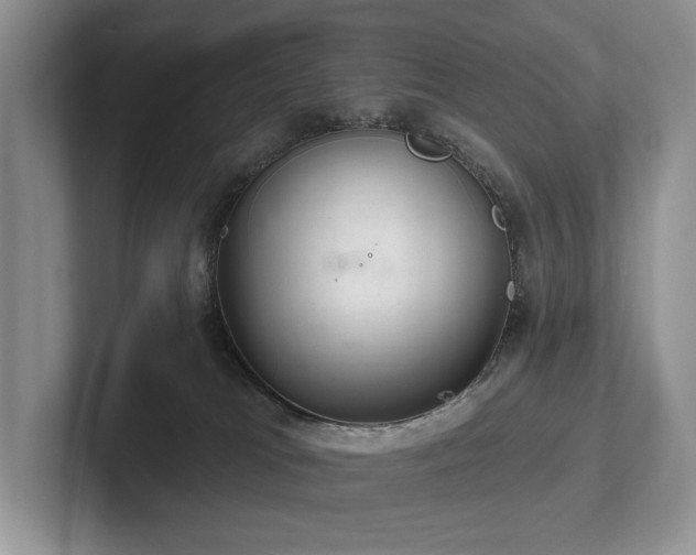 X0000102500037200808081358