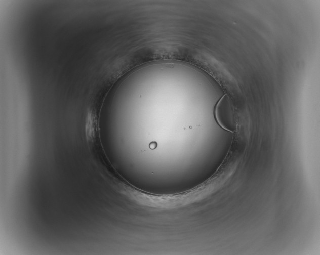 X0000102500038200808081358