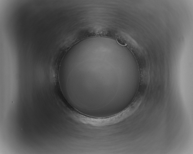 X0000102500039200808081358