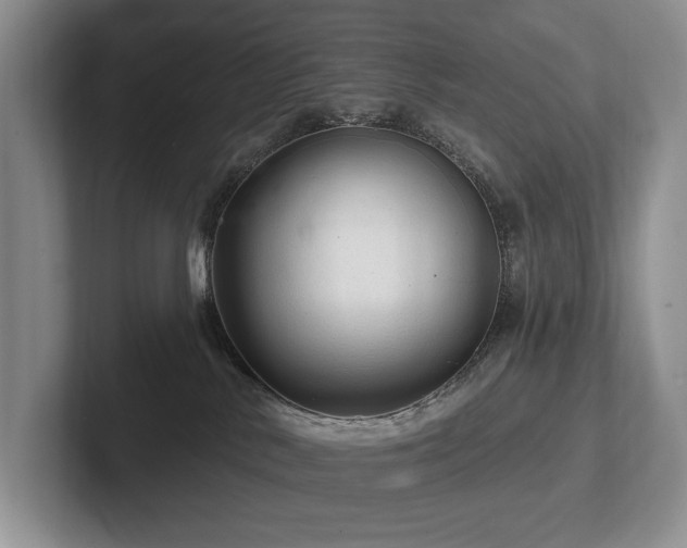 X0000102500042200808081358